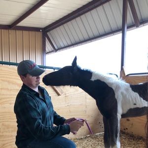 Meet your Posher, Bill